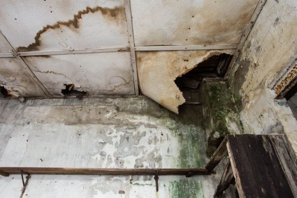 Water Damage Service in Westminster