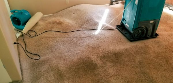 Flood Damage Cleanup in Westminster