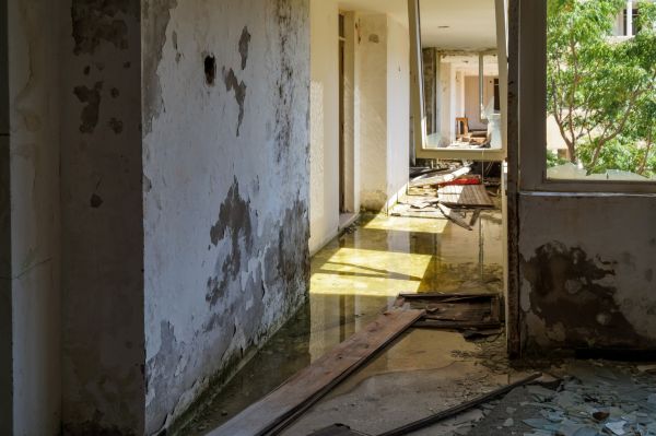 Water Removal Service in Westminster