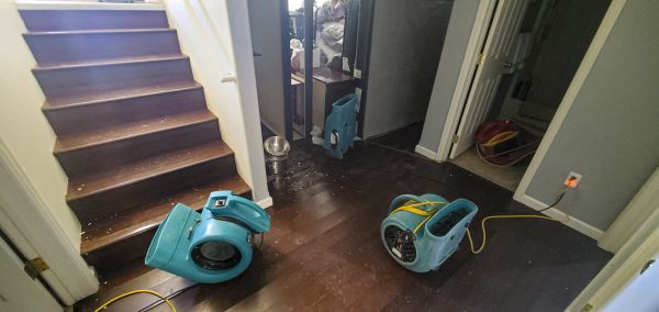 Water Damage Remediation in Westminster