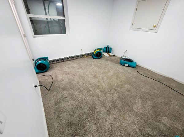 Flood Restoration Service in Westminster