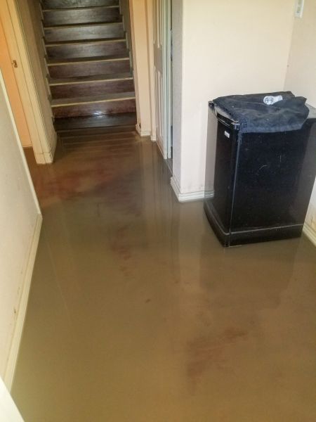 Emergency Water Removal in Westminster