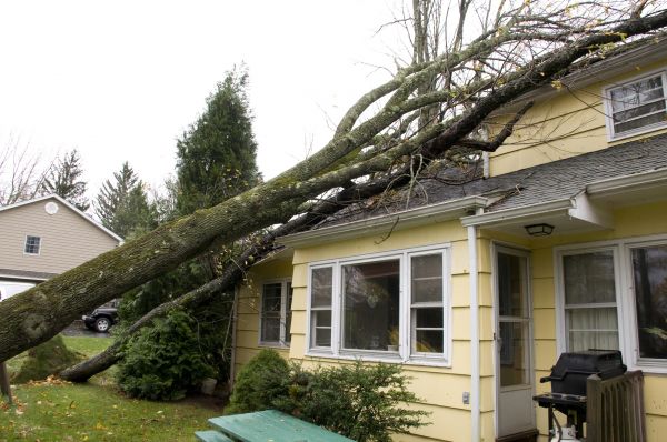 Hurricane Damage Repair in Westminster